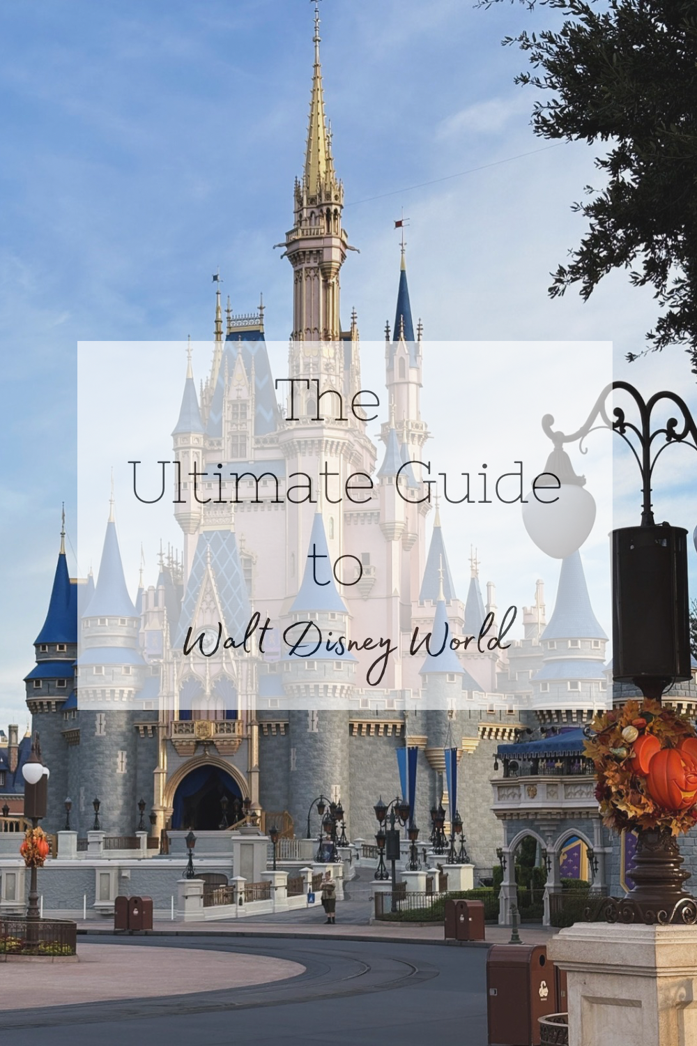 The Ultimate Guide to Walt Disney World!
